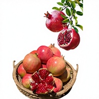 Premium natuurlijk voedingsmiddelkwaliteit granaatappelsap poeder, oplosmiddel-extract fruitextract met vitamine