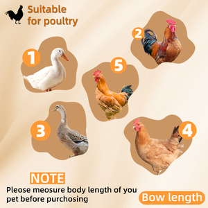 Paslanmaz Çelik, Sincap ve Yılan Önleyici, Yağmur Geçirmez, Açık Hava Tavuk Kümesi, Basit Tasarım, Kolay Kurulum, Büyük Kapasiteli - Product Image 6