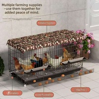 Cages à pigeons en métal simples, cloisons d'élevage, hangars de course, équipement de transport pour poulets de taille moyenne - Vente en gros fabricant
