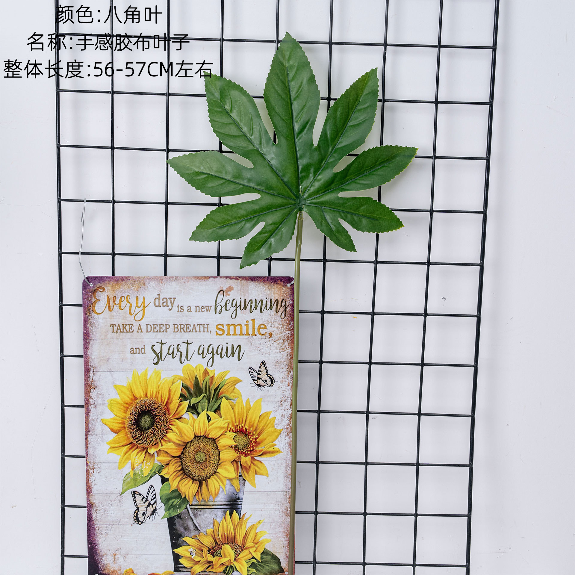 Feuilles d'anis étoilé