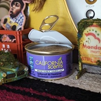 Boîte d'aromathérapie en bois massif avec gel d'huile essentielle de plante naturelle Essence de voiture pour désodorisant de voiture d'intérieur en gros