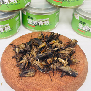 Friandises pour animaux de compagnie en gros contenant des <span class=keywords><strong>insectes</strong></span> <span class=keywords><strong>comestibles</strong></span> pour la conservation. Les grillons sont adaptés aux reptiles, aux poissons et aux oiseaux. - Product Image 1