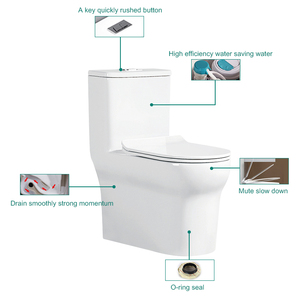 Water Saving And Intelligent Laveo Dry Flush Toilet Alibaba Com