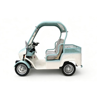 Carrito de Golf Eléctrico Holladay con Toldo, Scooter de Movilidad para Personas Mayores de 4 Ruedas, Carrito Eléctrico de Compras Doméstico Pequeño y Potente de 48V