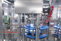 Machine automatique de remplissage et de bouchage de liquides, 12 têtes, bouchon à vis, acier inoxydable, sans bouteille, sans remplissage, pour boissons non gazeuses