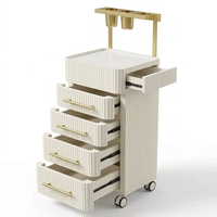 Meuble de salon de coiffure moderne en bois, chariot mobile avec poignée dorée, chariot de rangement multi-tiroirs à roulettes noires pour salon