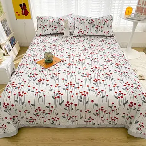 Three-piece Quilted cotton-padded bed cover set of four seasons universal protective pad cartoon printing