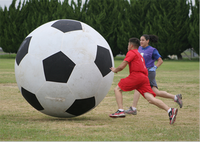 Fabricant de ballons gonflables en PVC pour l'extérieur, jouets amusants pour enfants, jeux de sport, grands ballons de football gonflables pour la construction d'équipe