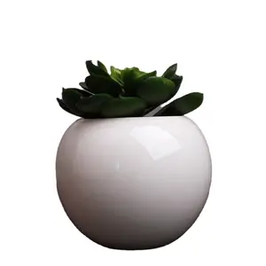 Qualität einfacher runder weißer Keramik blumentopf für Pflanzen