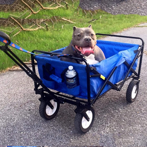 आउटडोर कैंपिंग फोल्डिंग हैंड कार्ट बच्चों के लिए खरीदारी के लिए समुद्र तट ट्रॉली - Product Image 5