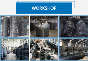 Trực tiếp Trung Quốc đen ủ dây sắt q195 cuộn dây thép Electro mạ kẽm tráng Twist ràng buộc dây cho baling cắt dịch vụ - Product Image 6