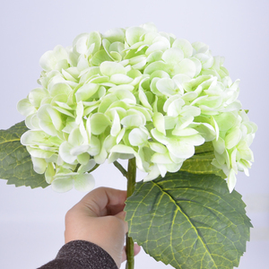 Flores de Hortensia Artificiales de Alta Calidad, Hortensia de Látex con Tacto Real, Cabeza Grande, Hortensia Verde, Flor Artificial al por Mayor - Product Image 4