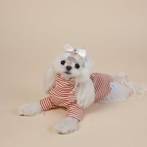 เสื้อผ้าสัตว์เลี้ยง ZHONGYA รุ่นใหม่ สไตล์เกาหลี ลายทาง ผ้ากำมะหยี่นุ่มสบาย สำหรับสุนัขพันธุ์เกรย์ฮาวด์ ยอร์คเชียร์ เทอร์เรีย และนอร์เวย์เรเดอร์ สำหรับฤดูใบไม้ร่วงและฤดูหนาว - Product Image 3