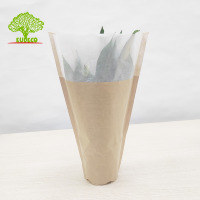 Manchon de plantes en papier pour herbes, emballage en papier torsadé, Semi-transparent, pour fleurs en papier