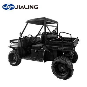 <span class=keywords><strong>Quad</strong></span> côte à côte 2026, 4 temps, 1000 cm³, automatique, 4x4, 3 places, moteur à essence, UTV - Product Image 6