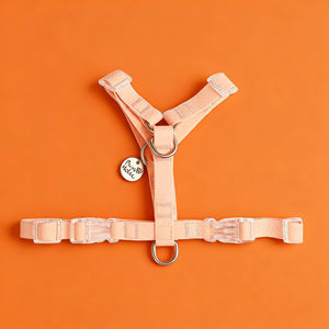 Arnés de perro impermeable con revestimiento de PVC duradero en forma de Y de moda con características transpirables Diseño de lujo elegante simple al por mayor - Product Image 1