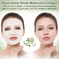 Masque en tissu professionnel au collagène avec vitamine E et probiotiques pour la réparation de la barrière cutanée et l'anti-âge, idéal pour les peaux grasses, format voyage