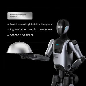 Robot humanoïde KEENON <span class=keywords><strong>XMAN</strong></span> AI, interaction vocale, robot de service bionique pour les soins aux personnes âgées, la sécurité à domicile des enfants, interaction IA - Product Image 4