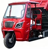 Tricycle électrique à trois roues et à cinq roues, moto ouverte, camion à benne basculante pour usage agricole et domestique, camion à essence, camion de transport de marchandises, vente chaude transfrontalière