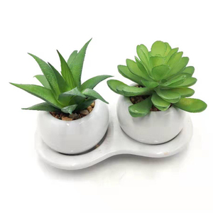 Artificial Succulents <strong>Plant</strong> <strong>Ceramic</strong> <strong>Pot</strong> with Tray - Product Image 1