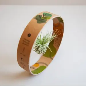 Tiland Zero, pianta senza aria, merchandising sostenibile - Product Image 2