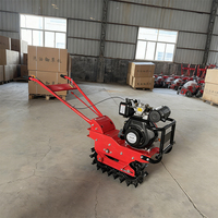 Ventes Flash 2025 – Modèle 173 – Motoculteur diesel refroidi par air / Mini-motoculteur 7 CV pour labour et culture