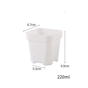 Fournitures <span class=keywords><strong>de</strong></span> <span class=keywords><strong>jardin</strong></span>, pot carré en plastique transparent <span class=keywords><strong>pas</strong></span> <span class=keywords><strong>cher</strong></span> <span class=keywords><strong>de</strong></span> 6,7 cm avec couvercle isolant et hydratant, <span class=keywords><strong>serre</strong></span> - Product Image 5