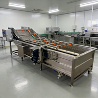 Ultrasoon reinigingsapparaat voor fruit en groenten, geschikt voor het wassen van druiven, kersen en tomaten