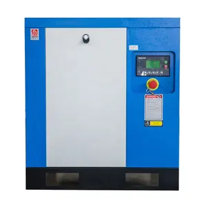 Compressor de ar portátil pcp silencioso 220v, mini cabeça, biogás, gás cng elétrico de alta pressão, para mergulho, itália