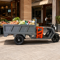 Heavy Duty Elektrische Cargo Driewieler 3 Wiel Vracht Trike 1000W 60V voor Fruit Groente Markt Verkoper Kruideniersvervoer