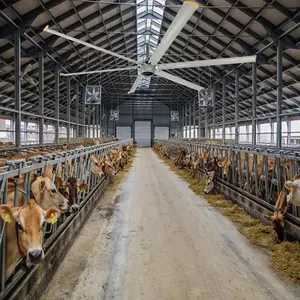 AMCLING Sapi Rumah Kuda Gudang Pendingin Udara Sirkulasi Bertenaga Industri Kipas Langit-langit Besar