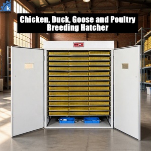 Incubateur d'œufs entièrement automatique à double température et double contrôle, avec retournement automatique des œufs et ajout d'eau, pour l'éclosion de poulets, canards et oies - Ventes Flash - Product Image 1