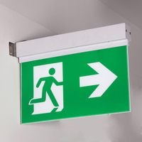 Lumière d'urgence rechargeable 3W avec panneau de signalisation de sortie, différentes options de légendes, 5 modes d'installation, design moderne pour bureau