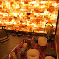 Blocs de sel de l'Himalaya Salle de spa Carreaux de sel Artisanat naturel Construction immobilière 20*10*5cm Briques de sel de l'Himalaya de Chine