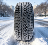 Neumáticos de Invierno para China 245/35R20 265/35R20 285/30R20 305/40R20 - Neumáticos de Nieve de Alta Calidad a Precio Económico