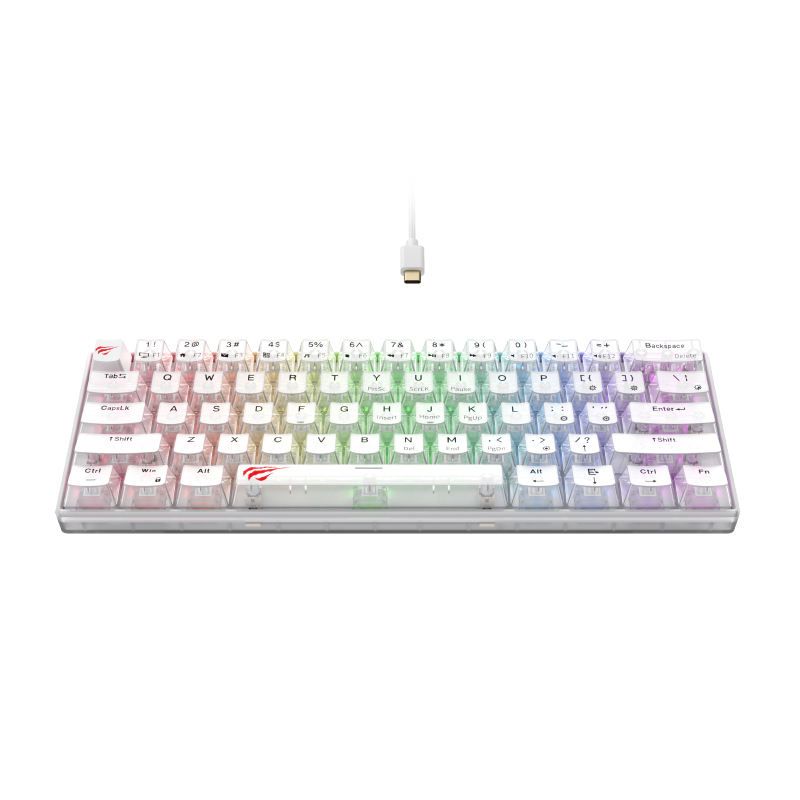 Havit KB903L 61 Keys Rainbow RGB Backlit Computer Light up USB Wired Gaming  Keyboard Backlit Mechanical Gaming Keyboard for PC