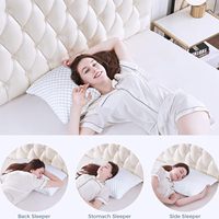 Oreillers en mousse à mémoire de forme déchiquetée OEM OSBED, taille Queen, lot de 2, oreillers rafraîchissants pour dormir, lot de 2, réglables en hauteur, ferme