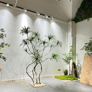 Árbol de sangre de dragón Artificial de alta calidad, árbol de bambú <span class=keywords><strong>del</strong></span> cielo <span class=keywords><strong>del</strong></span> <span class=keywords><strong>sur</strong></span>, decoración interior para el hogar y la Oficina, simulación de planta verde, árbol bonsái - Product Image 3