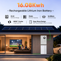 DAH EU Stok Terbatas Promo Panas 51.2V 16.08kWh Sel LiFePO4 Kelas A Smart BMS Penyimpanan Baterai Surya Baterai Lithium Iron Rechargeable