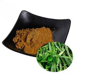 Extrait de Cissus Quadrangularis, poudre naturelle à base de plantes pour la santé des os, les soins des articulations, les compléments alimentaires et les produits ayurvédiques - Product Image 3