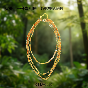 CBBA-2050 สร้อยคอแฟชั่นแบบซ้อนชั้น - Product Image 3