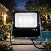 Projecteur LED en aluminium moulé sous pression haute efficacité 180LmW IP66 étanche pour l'éclairage architectural des façades de bâtiments