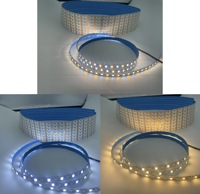Bande LED flexible 1M/2M/3M DC5V USB SMD2835 120LEDs/m CCT Blanc chaud + Blanc double avec contrôleur
