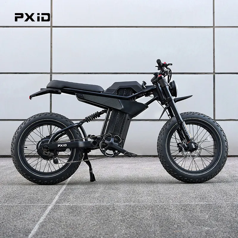 PXID MANTIS P6 electric 20 inch fat wheel e bike 750W 1000W 1500W 48V adult electric bike for men