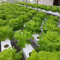 Système hydroponique à canal NFT en PVC de qualité alimentaire avec pente intégrée et support de charge lourde pour l'agriculture en serre