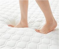 Protège-matelas Queen Size en latex gonflable à mémoire de forme, matelas à compression, disponible près de chez moi