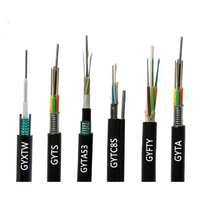 Câble à fibre optique monomode extérieur FTTH 1, 2, 4 cœurs GYFXTY GYTC8A ADSS ASU GYTA GYTS GYFXTBY pour la fourniture de projets personnalisés