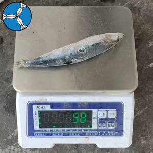 SANFENG <strong>SEAFOOD</strong> Fresh Frozen Sardines 30-50pcs Per Carton to Asian <strong>Buyers</strong> - Product Image 2