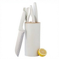 Ensemble de 5 couteaux de cuisine de haute qualité en acier inoxydable avec manche en plastique ambidextre, ciseaux à viande et tube de rangement