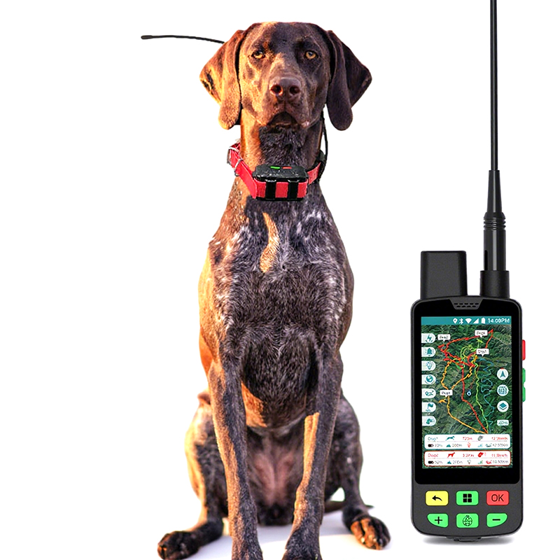 Промышленный 4G GPS ошейник для собак глобальная LTE-M GNSS Multi-созвездие 6400 мАч корпоративное облако ODM